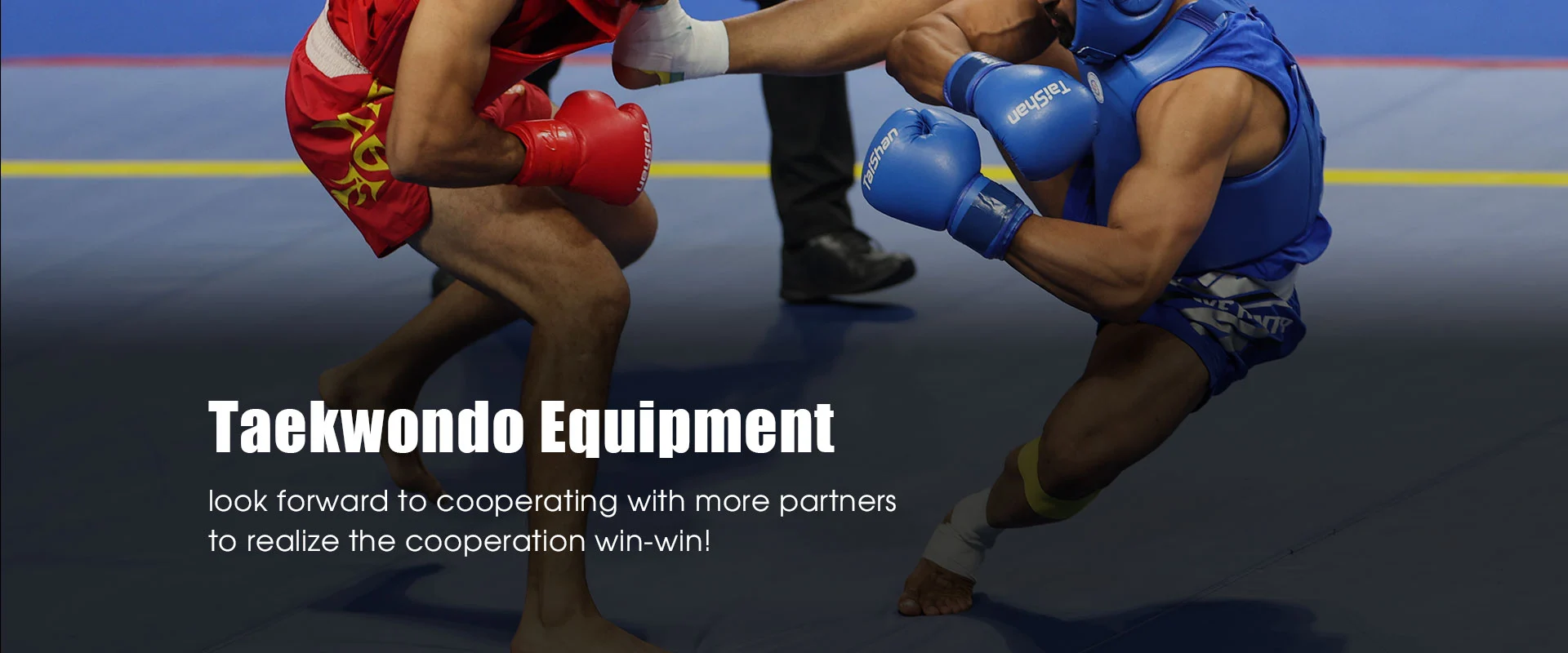 Fabricante de equipamentos de Taekwondo na China