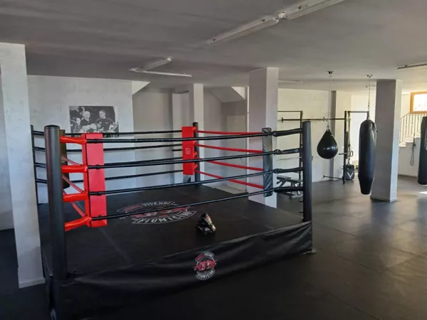 Caso no local: Pandawin Professional Boxing Ring oferece desempenho estável e pronto para academia