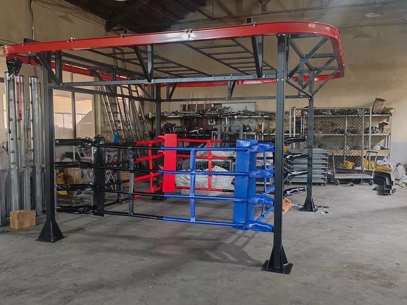 Por que se contentar com um ringue de boxe padrão quando você pode ter um centro de treinamento personalizado completo?