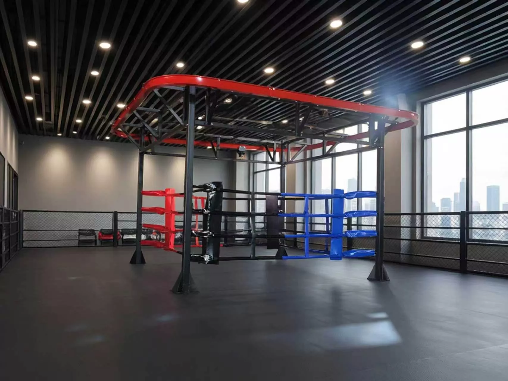 Você deseja combinar ring sparring, trabalho com sacolas pesadas e treinamento funcional de condicionamento físico em um único equipamento?